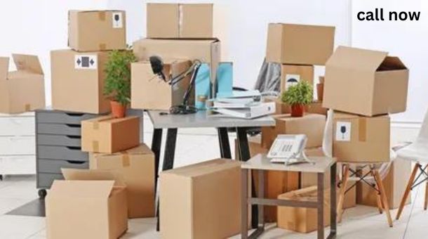 top packers and movers